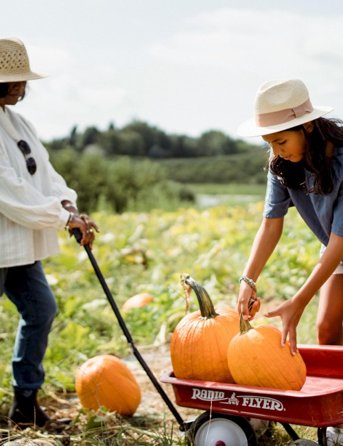 Two people in hats are in a field, collecting pumpkins and placing them in a red wagon.