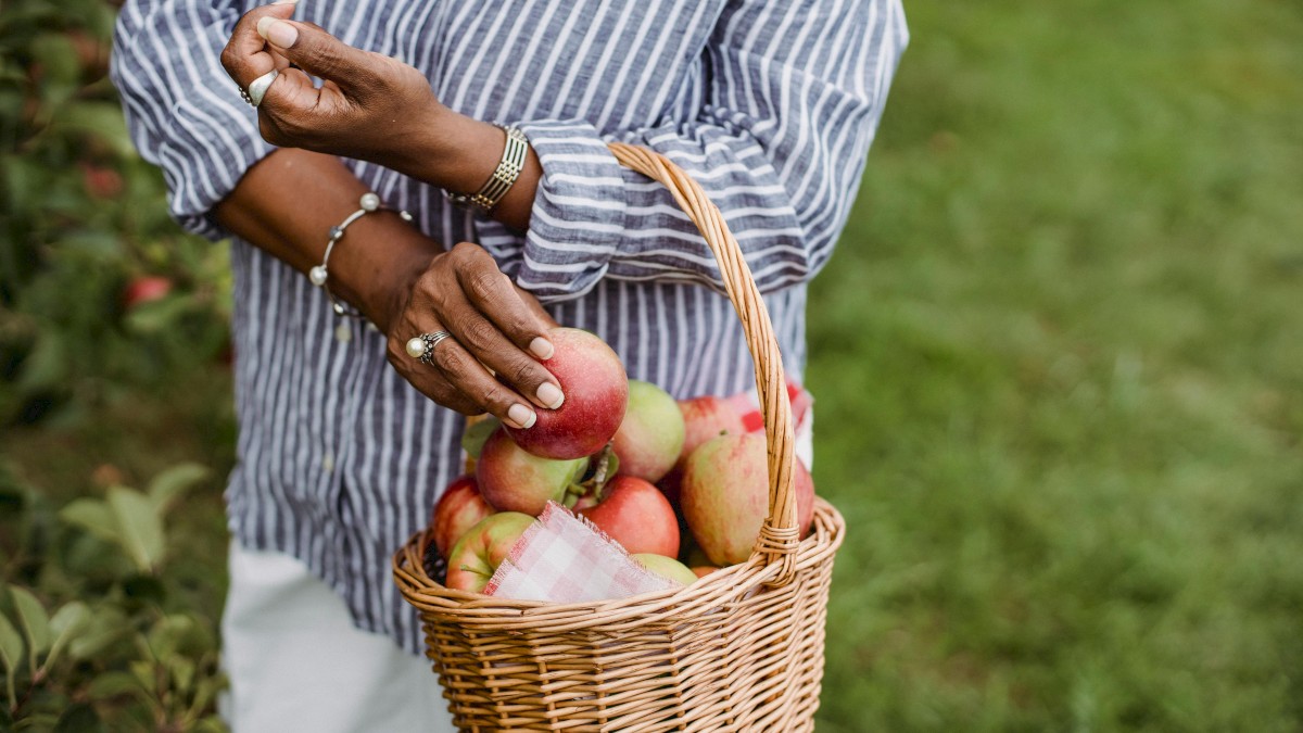 A person in a striped shirt holds a basket full of apples in a green outdoor setting.