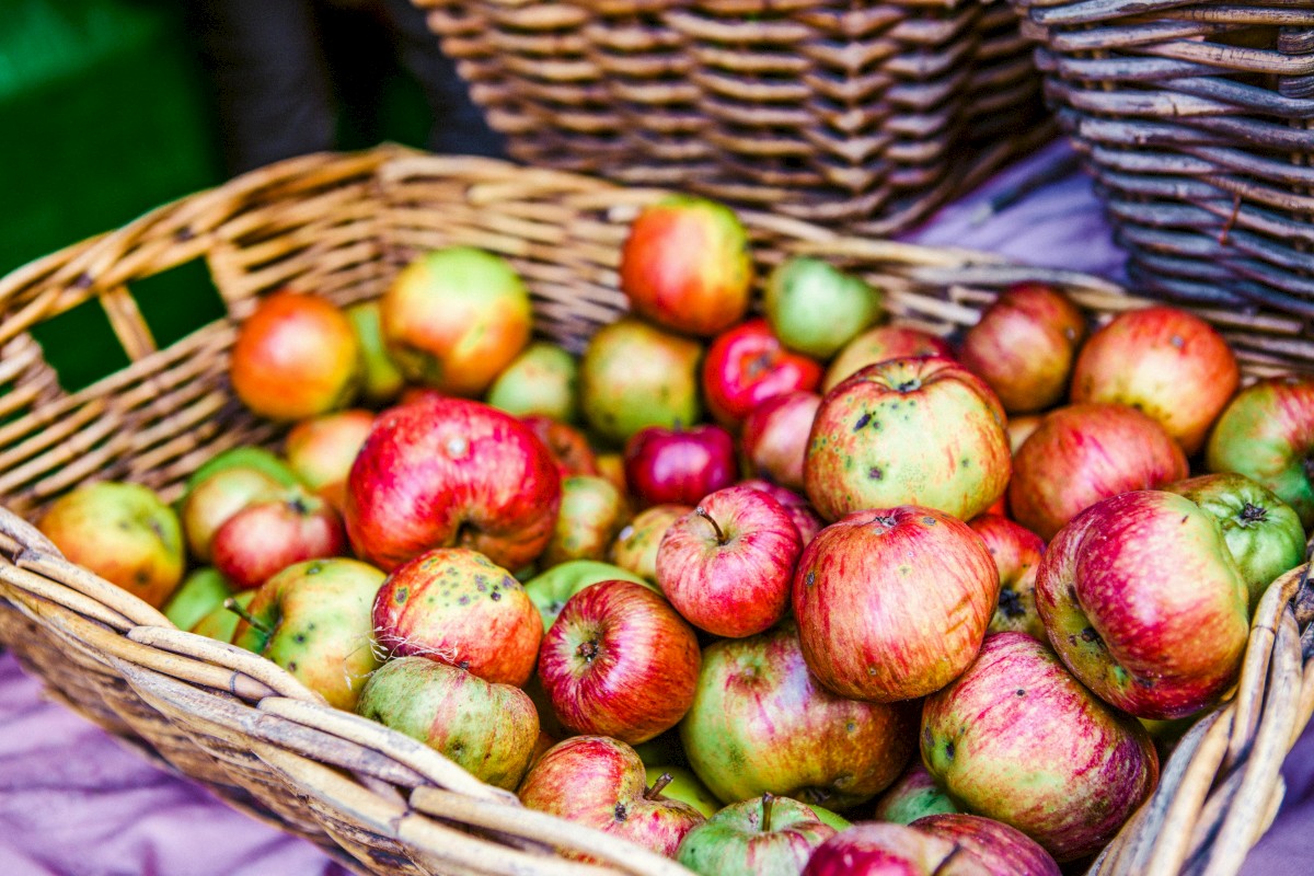 A wicker basket filled with red and green apples is displayed, with some other baskets visible in the background.