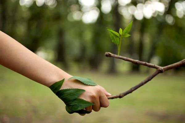 A hand is holding a branch with green leaves; leaves are also placed on the arm, blending nature with the human form.