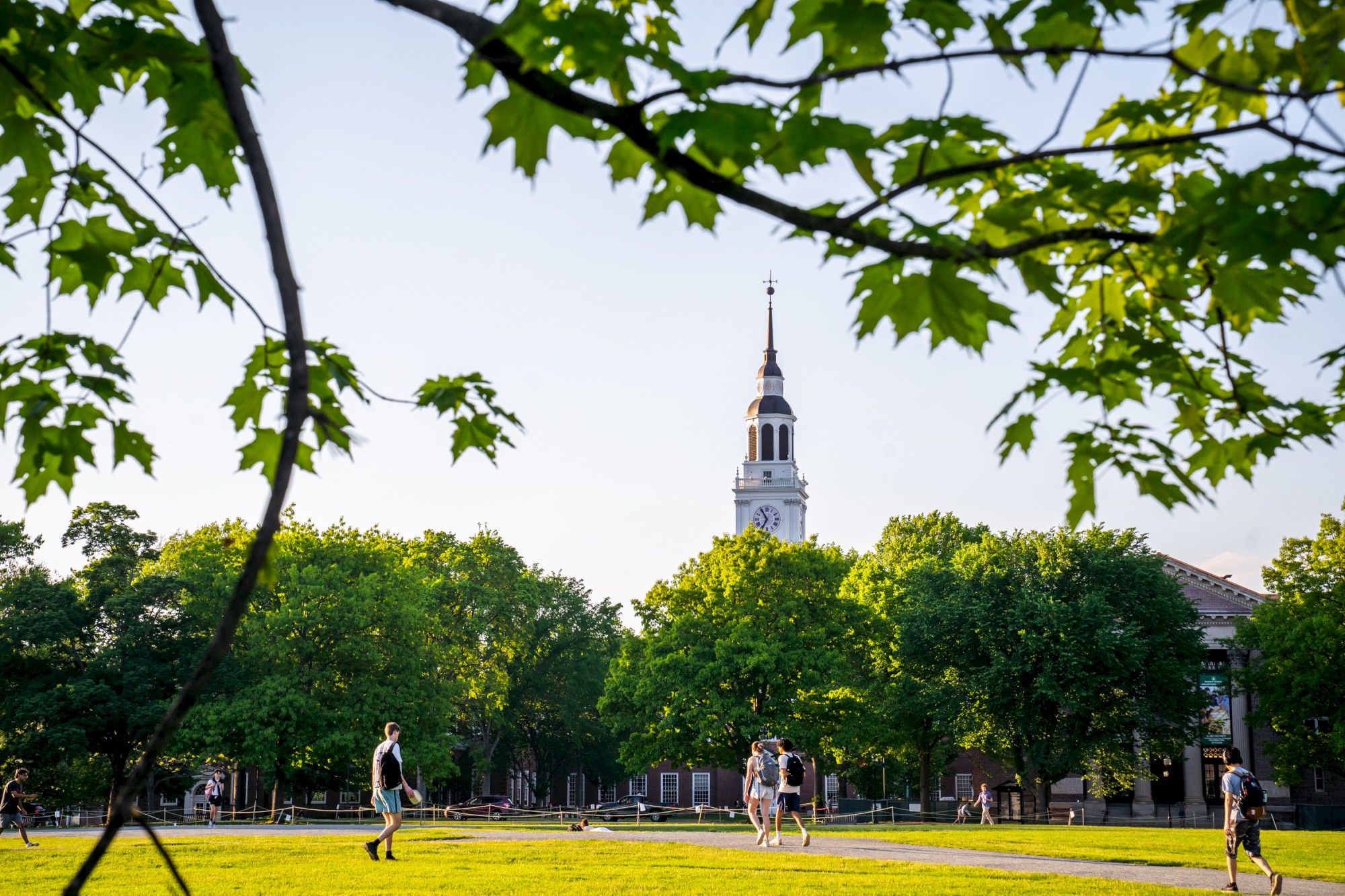 A scenic image of people walking on a green lawn framed by tree branches, with a clock tower in the background under a clear sky.