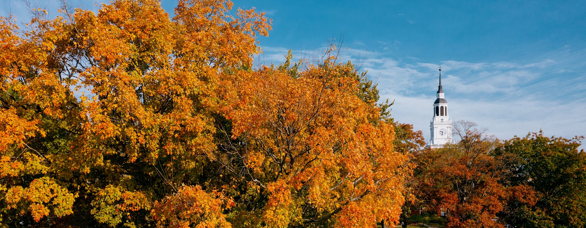 A scenic view of trees with vibrant autumn foliage and a church steeple in the background under a clear blue sky.