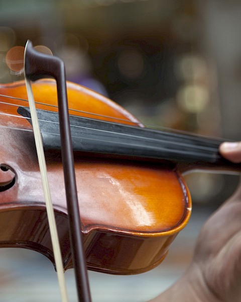 A close-up of a person playing a violin, focusing on the strings and the bow in motion against a blurred background.