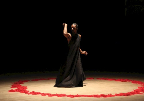 A person in a dark outfit performs on stage, surrounded by a circle of red fabric in dramatic lighting.