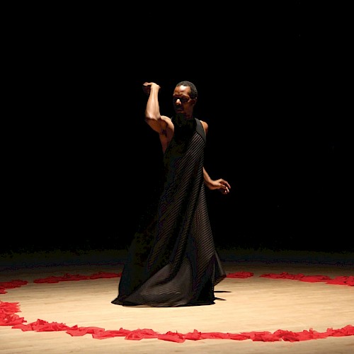A person in a dark outfit performs on stage, surrounded by a circle of red fabric in dramatic lighting.