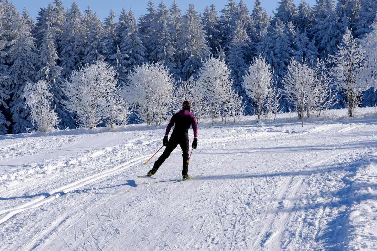 A person is skiing on a snowy trail surrounded by frosty trees under a clear blue sky.