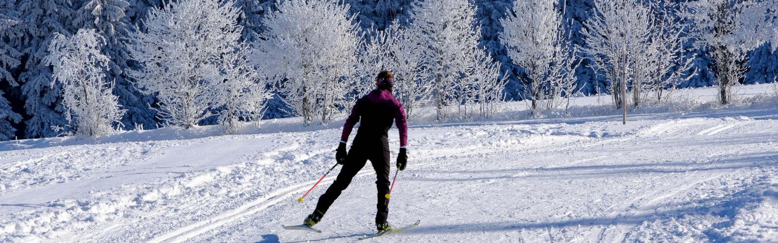 A person is skiing on a snowy trail surrounded by frosted trees under a clear blue sky.