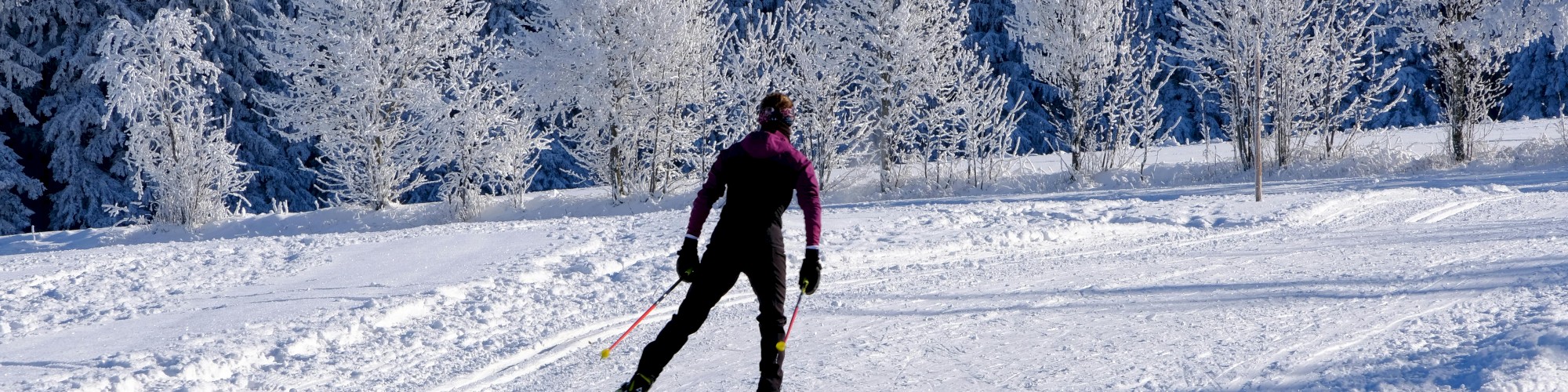 A person is skiing on a snowy trail surrounded by frosted trees under a clear blue sky.