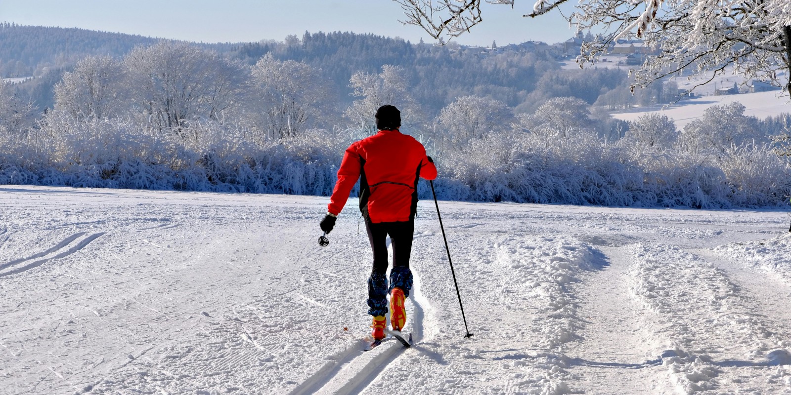 A person in a red jacket cross-country skiing on a snowy trail in a winter landscape with frosty trees and distant hills.