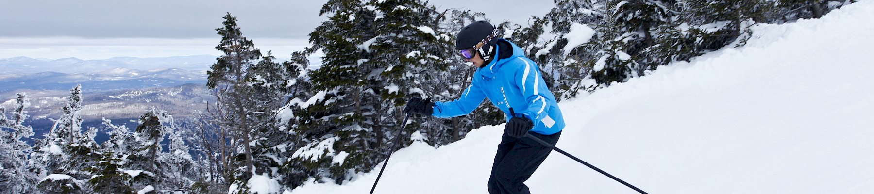 A person in a blue jacket is skiing down a snowy slope with trees in the background, showcasing a winter scene with overcast skies.