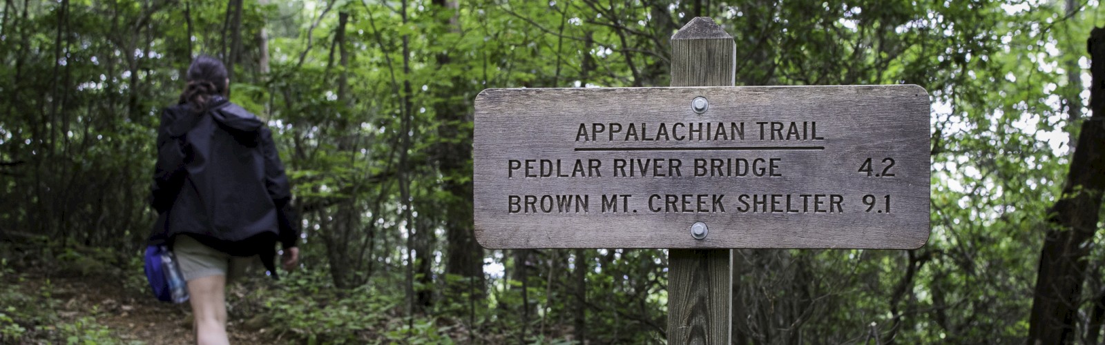 Hiker on a forest trail beside a wooden Appalachian Trail sign, indicating distances to Pedlar River Bridge and Brown Mt. Creek Shelter.