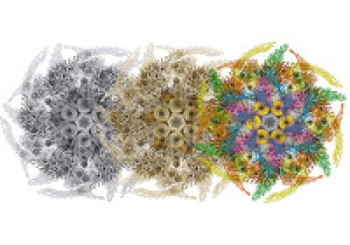 The image depicts a series of intricate, circular, multicolored patterns transitioning from grayscale to vibrant hues, resembling a kaleidoscope design.