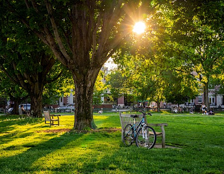 A peaceful park scene at sunset, with a bicycle leaning against a bench under shady trees and sunlit grass.