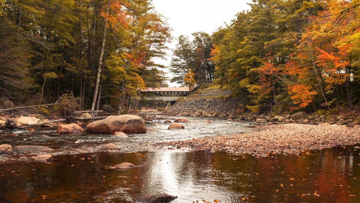 A serene river scene with autumn-colored trees, rocks in the water, and a small bridge in the background under a cloudy sky.