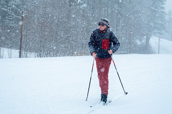 A person cross-country skiing in heavy snowfall across a snow-covered field, with pine trees in the background and falling flakes, wearing a dark jacket and red pants.