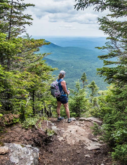 A hiker stands on a trail among pine trees, looking out over a vast forested landscape with mountains and cloudy skies in the distance.