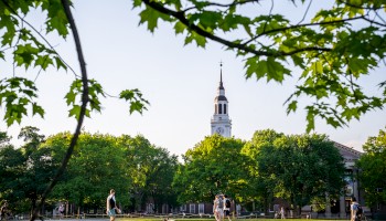 People are walking and relaxing in a park with a clock tower and trees in the background on a sunny day.