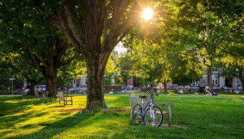 A park with lush green trees, benches, a bicycle, and people relaxing under the sunlight in the late afternoon.